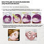 La Miso Альгинатная маска моделирующая антивозрастная / Wrinkle Complex Modeling Mask, 1000 г