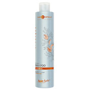 Hair Company Professional Шампунь для волос с биомаслом арганы / Hair Light Bio Argan Shampoo, 250 мл