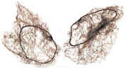 Dewal Сеточка-паутинка для создания причёсок малая CE051, коричневый, 2 шт.