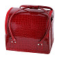 Planet Nails Сумка-чемодан для мастера маникюра «Крокодил», бордовый